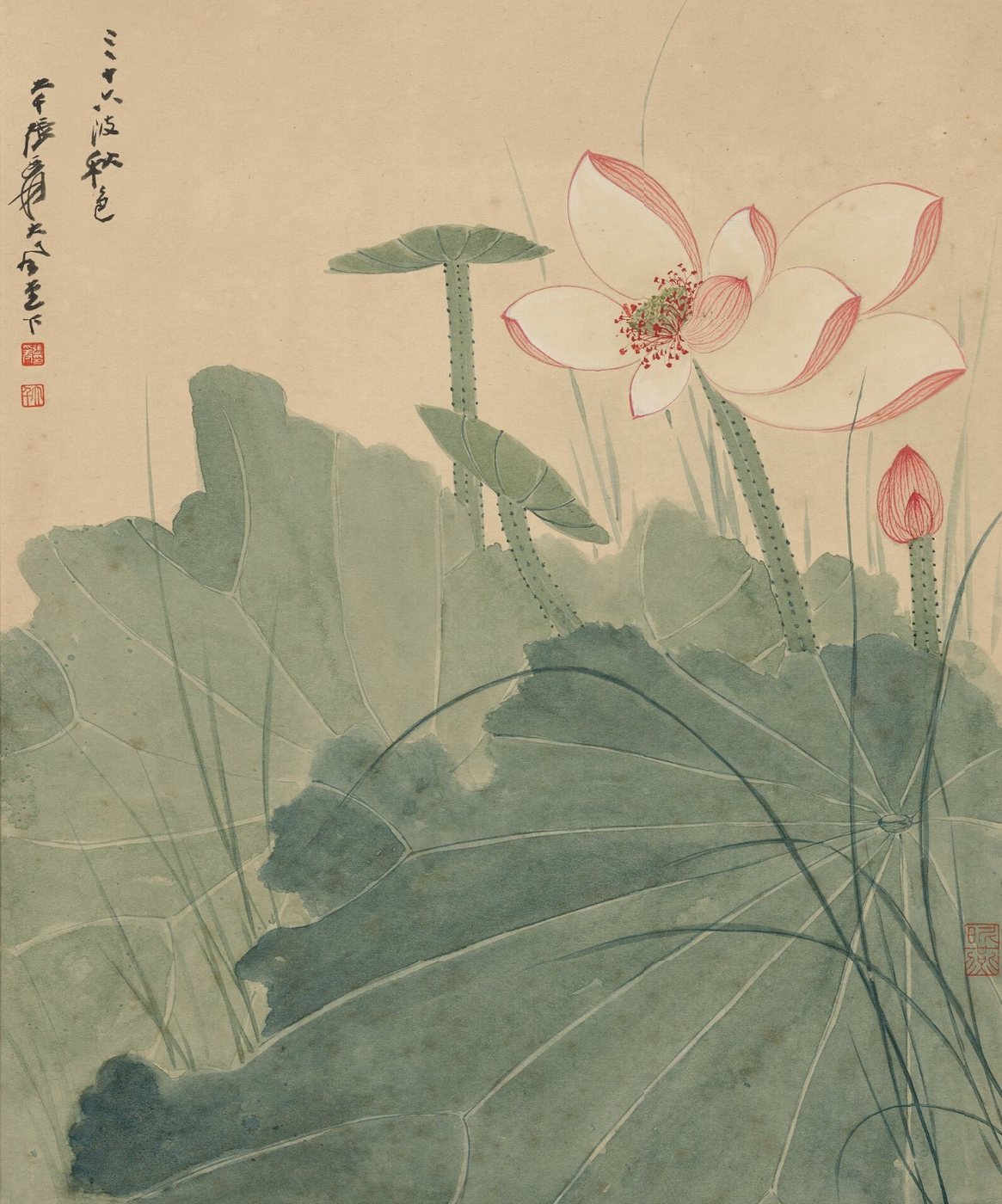 张大千《荷花图》局部